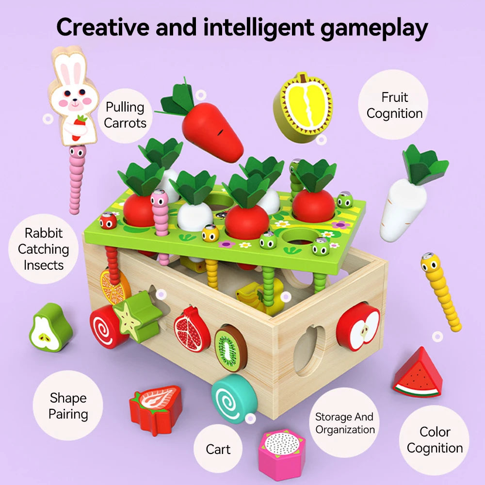 Wooden Sorting Matching Toy for Kid Toddler 1-3 Year Old  Color Shape Learning Game Montessori Educational Toys
