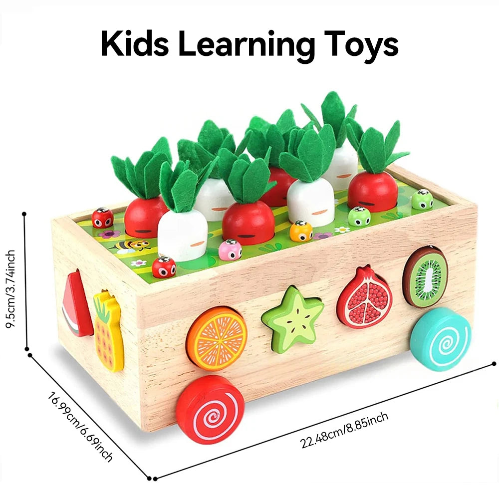 Wooden Sorting Matching Toy for Kid Toddler 1-3 Year Old  Color Shape Learning Game Montessori Educational Toys
